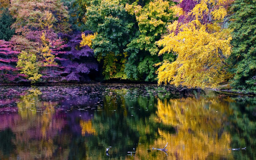 501032 (a): :2560x1600